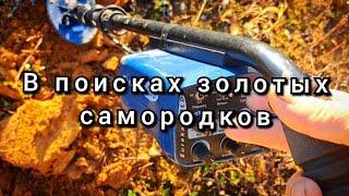 В поисках золотых самородков