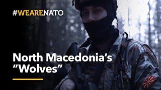  North Macedonia's Special Operations Battalion "The Wolves" | #WeAreNATO