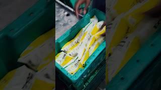 #Eris milk #viralvideo #2025trending #viralvideo #subscribe me #Eris milk #viralshort