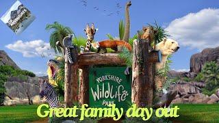 Yorkshire Wildlife Park: A Must-See Experience