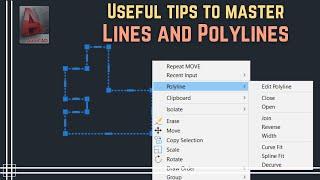 Autocad - Lines and Polylines (Useful tips to master them)