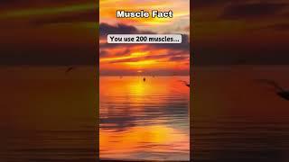 Interesting facts about your muscle. #youtubeshorts #unknownfacts #interestingfacts #vitaminmusic