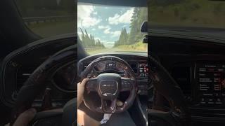 HELLCAT CRAZY LOUD WHINE