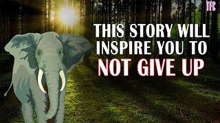 Important Story of an Elephant called 'Prince' | Transformational | Motivational Short Story English