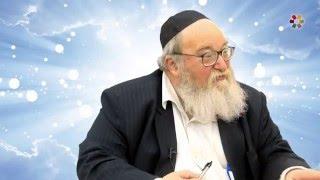 Rabbi Yitzchak Breitowitz - Various Topics: Questions and Answers - 6