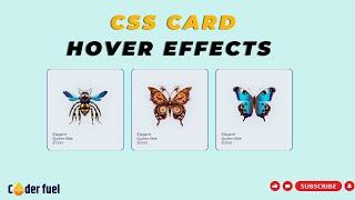 CSS Card Hover Effects | Html CSS | coderfuel