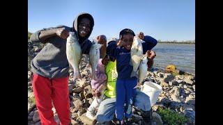 Started out Catfishing and left with a bucket full of bass and skipjack | Using MJ JIGS!!!