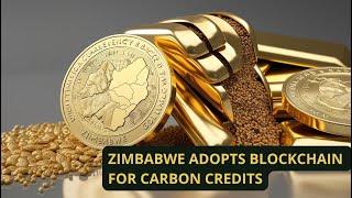 ZIMBABWE ADOPTS BLOCKCHAIN ​​FOR CARBON CREDITS