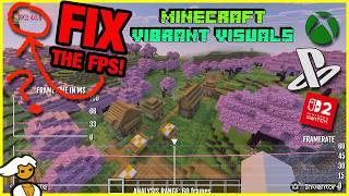 I Tested Every Setting Possible! - Performance issues in Minecraft Vibrant Visuals Update