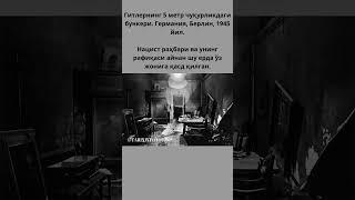 Гитлернинг 5 метр чуқурликдаги бункери. Германия, Берлин, 1945 йил.