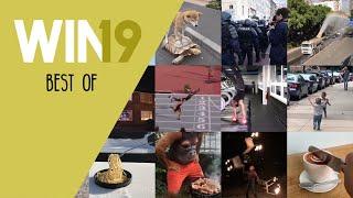 WIN Compilation Best of 2019 (Videos of the Year)