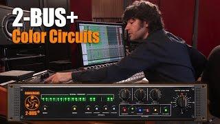 2-BUS+ Color Circuits - Dangerous Music