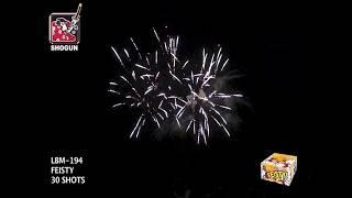 Feisty - #12606-SS - Shogun - 500 Gram Repeater Cases - Wholesale Fireworks - WFBOOM.COM