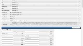 DirectAdmin - How to edit DNS entries?