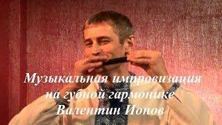 Губная гармоника (гармошка). Музицирует - Валентин Ионов