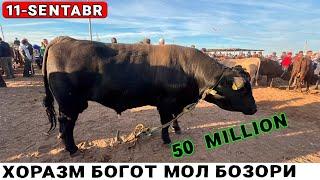 БОГОТ МОЛ БОЗОРИ 11-СЕНТАБР ГИГАНТ БУКАЛАР