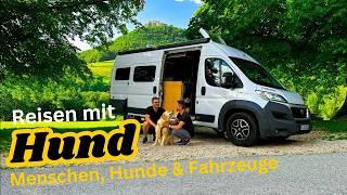 Hund im Wohnmobil? Raffinierte Fahrzeuge für entspannte Hunde!