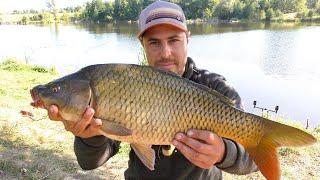 Two days of fishing. Carp tearing hooks. Carp fishing with a feeder.