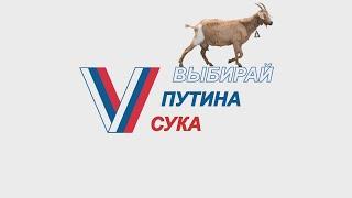 Честные выборы Путина RYTP