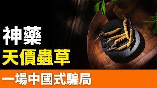 崩了！冬蟲夏草！抗癌？包治百病？中藥之王？全是假的！人造滋補聖品！一個收取智商稅的靶子：一斤幾十萬元，不僅謀財，而且害命！