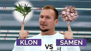 Clone vs. Samen | Growmotion