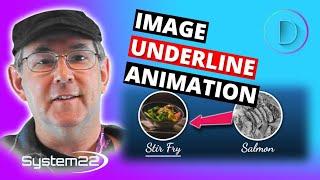 Divi Theme Image Underline Animation On Hover 