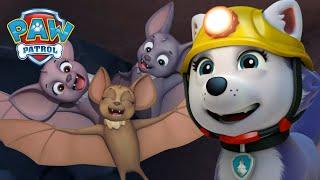 Everest and Rubble rescue the family of bats and more! - PAW Patrol Cartoons for Kids Compilation