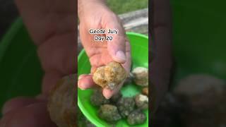 20 #geodejuly