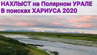 на Полярный УРАЛ в поисках ХАРИУСА 2020