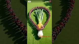 magic design and  vegetables #anime #funny #magic #vegetables