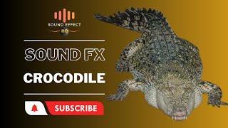 CROCODILE  - Sound Effect HQ #crocodile