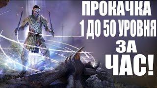 Прокачка Персонажа За 1 час! Реально!