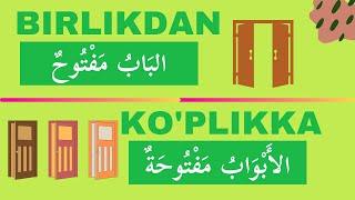 Birlik va Ko'plik Gaplarga Misollar O'qiymiz | 1-Kitob | 16-17 darslar asosida | ARAB TILI DARSLARI