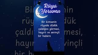 Rüyada DÜDÜK görmek