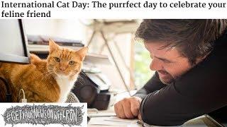 Happy International Cat Day! Ron & Viewers Celebrate