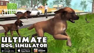 Ultimate Dog Simulator: Game Trailer for iOS and Android