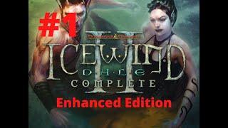 Icewind Dale 2 Enhanced Edition Part 1:The Targos Docks