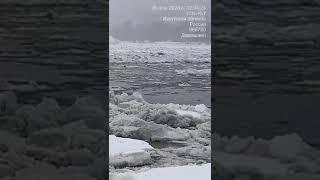 В Усть-Куте вода в паводок пошла против течения