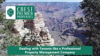 Dealing with Tenants Like a Professional Tempe Property Management Company