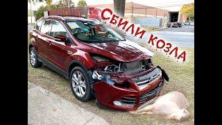 Сбил «козла»- списали машину. 2014 Ford Escape 2.0 - 3700$.Авто из США.