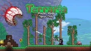 I beat Terraria Master Mode Using only Spears