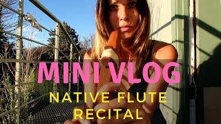 Native American Flute: House of the Rising Sun Cover