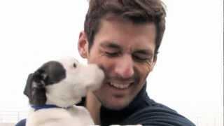 David Gandy and Battersea Dogs & Cats Home