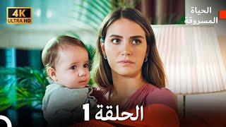 4K (Arabic Dubbed) الحياة المسروقة - الحلقة 1