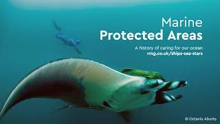 Marine Protected Areas | Ships, Sea & Stars