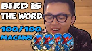 BEST CARRY UNIT? BIRD IS THE WORD! - Hearthstone Battlegrounds