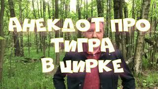 Анекдот про тигра в цирке