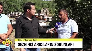 ARICI SOHBETLERİ  (TOKAT)