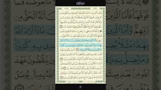 Surah Al Baqarah 26 - Mishary Rashid Alafasy