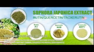 Sophora Japonica Extract Rutin